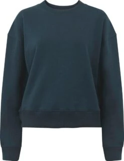 Schweres Sweatshirt Aus Biobaumwolle - Denim
