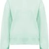 Schweres Sweatshirt Aus Biobaumwolle - Light Mint