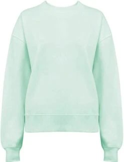 Schweres Sweatshirt Aus Biobaumwolle - Light Mint