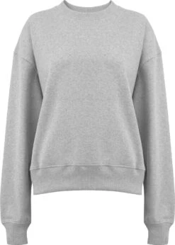 Schweres Sweatshirt Aus Biobaumwolle - Melange Grey