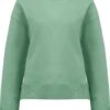 Schweres Sweatshirt Aus Biobaumwolle - Sage Green