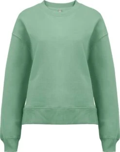 Schweres Sweatshirt Aus Biobaumwolle - Sage Green