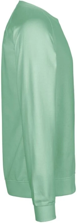 Neutral Unisex Sweatshirt Aus Fairtrade Bio-Baumwolle - Dusty Mint -MELA Geschaft Seitenansicht dusty mint Sweatshirt GOTS O63001 1280x1280