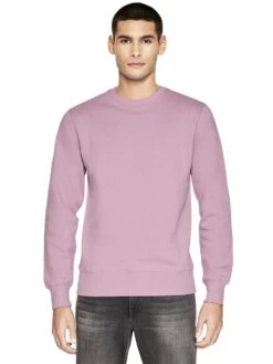 Unisex Sweatshirt Aus Biobaumwolle - Purple Rose -MELA Geschaft bio sweatshirts von earth positive EP62 PR 1280x1280