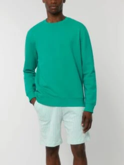 Unisex Sweatshirt Aus Bio-Baumwolle - Go Green -MELA Geschaft locker geschnittener Pulli vegan U823 100 1280x1280